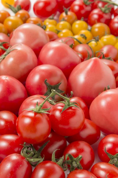 É uma fotografia de tomates frescos e mini-tomates . — Fotografia de Stock