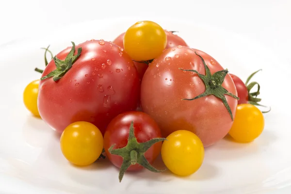 To jest fotografia świeże pomidory i mini pomidory. — Zdjęcie stockowe
