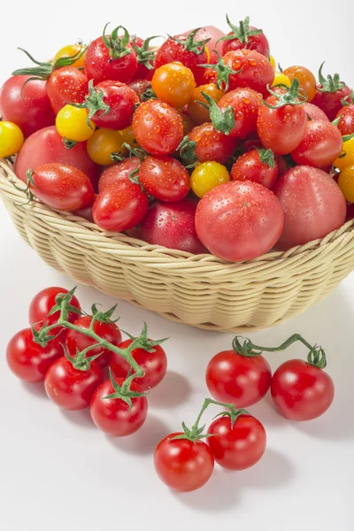 Es ist ein Foto von frischen Tomaten und Mini-Tomaten. — Stockfoto