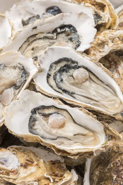 Ostras cruas de frutos do mar é comida muito fresca e deliciosa — Fotografia de Stock