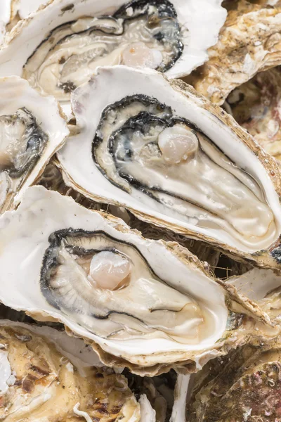 Ostras cruas de frutos do mar é comida muito fresca e deliciosa — Fotografia de Stock