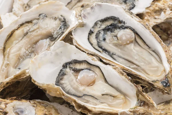 Ostras cruas de frutos do mar é comida muito fresca e deliciosa — Fotografia de Stock