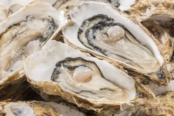 Ostras crudas de mariscos es comida muy fresca y deliciosa —  Fotos de Stock