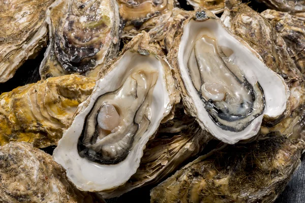 Ostras cruas de frutos do mar é comida muito fresca e deliciosa — Fotografia de Stock