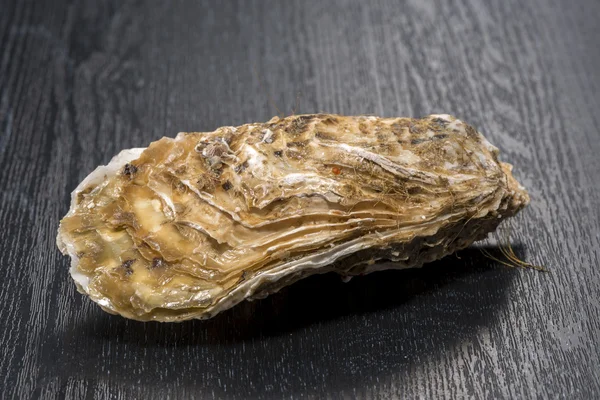 Ostras cruas de frutos do mar é comida muito fresca e deliciosa — Fotografia de Stock