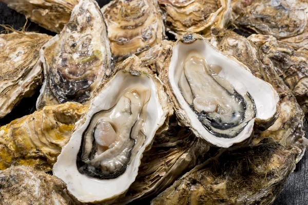 Ostras cruas de frutos do mar é comida muito fresca e deliciosa — Fotografia de Stock