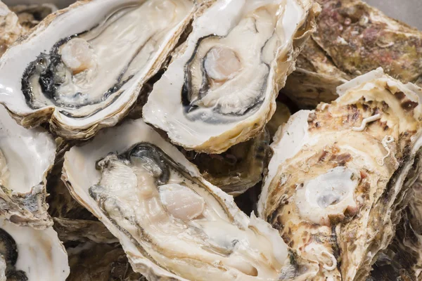 Ostras cruas de frutos do mar é comida muito fresca e deliciosa — Fotografia de Stock