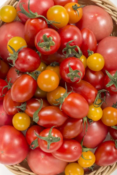 It is a photograph of fresh tomatoes and mini tomatoes. — Stock Photo, Image