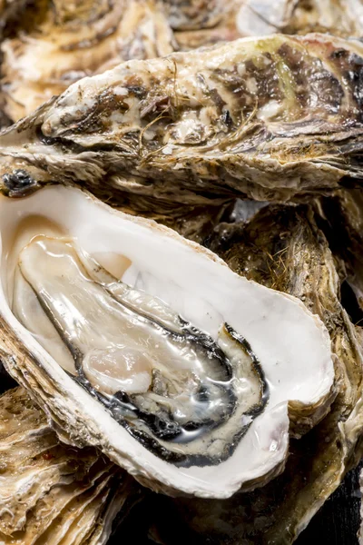 Raw oysters of seafood is very fresh and delicious food Royalty Free Stock Photos