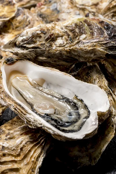 Raw oysters of seafood is very fresh and delicious food Royalty Free Stock Photos