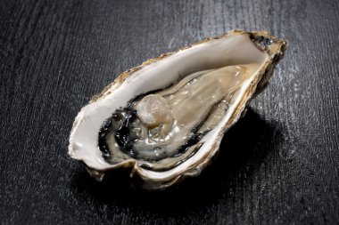 istiridye kabuğu deniz ürünleri