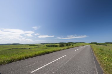 Düz yol yaz