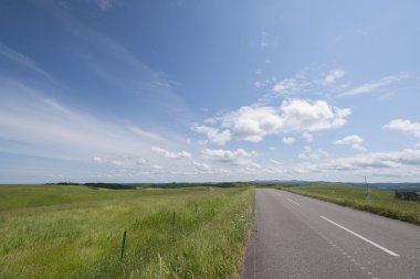 Düz yol yaz