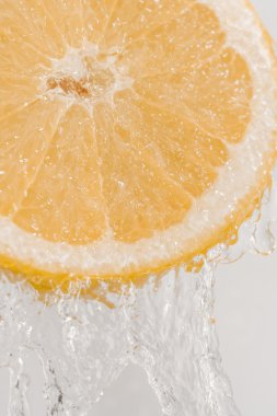 Taze greyfurt ve splash