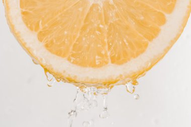 Taze greyfurt ve splash