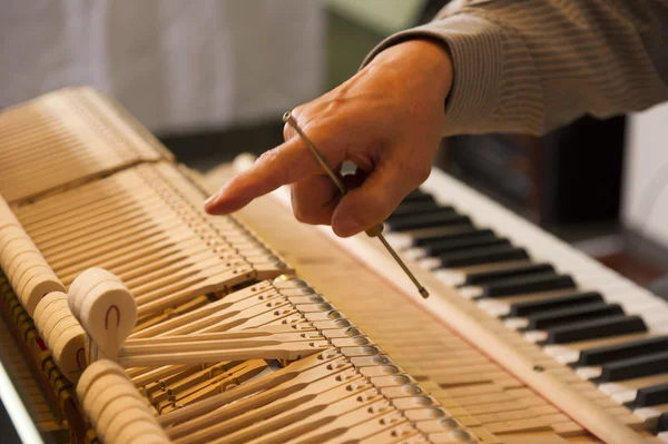 Piano tuning travail — Photo