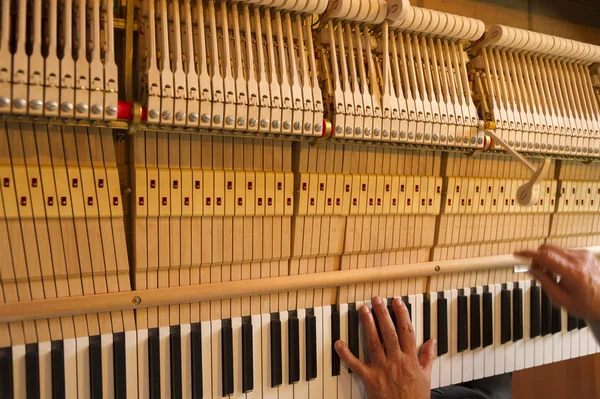 Piano tuning work — Stock Photo, Image