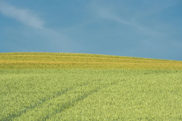 Bela zona agrícola — Fotografia de Stock