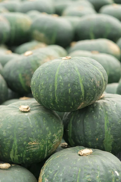 Harvest of pumpkin — Stock Photo, Image