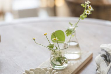 Güneş ışığı ile Oda