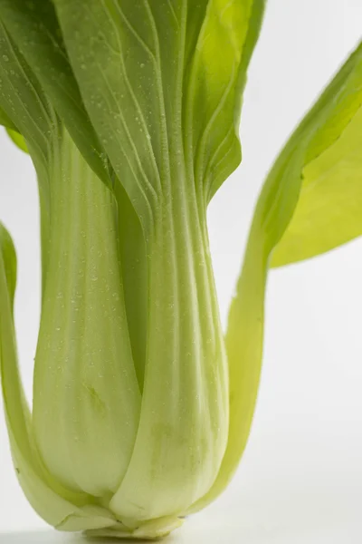 Świeże i pyszne bok choy — Zdjęcie stockowe