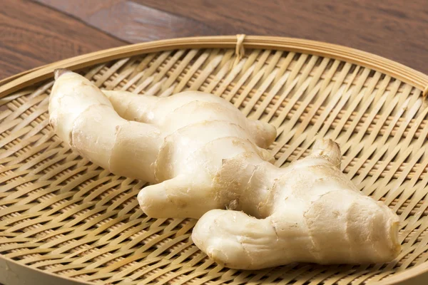 One fresh ginger — Stock Photo, Image