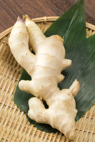 One fresh ginger — Stock Photo, Image
