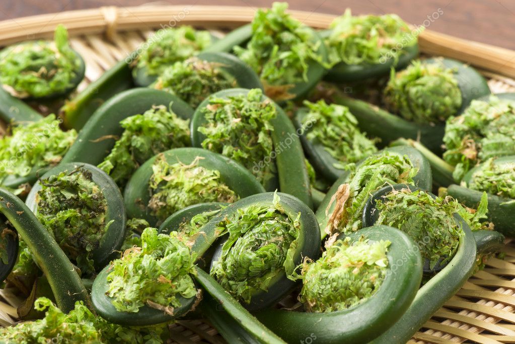 Harvest of fern edible wild plants food Stock Photo by ©keiphoto 113719718