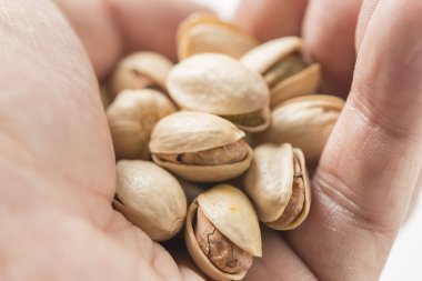 Fıstıklı Assorted