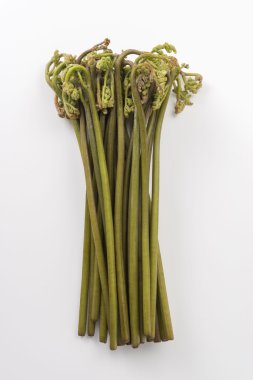 Lezzetli taze bracken hasat