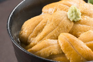 Japonya'nın taze deniz ürünleri yemekleri Deniz kestanesi