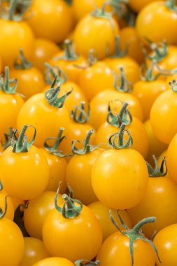 kırmızı ve taze domates