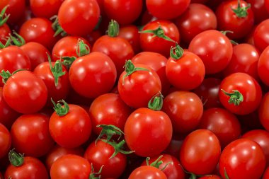 kırmızı ve taze domates