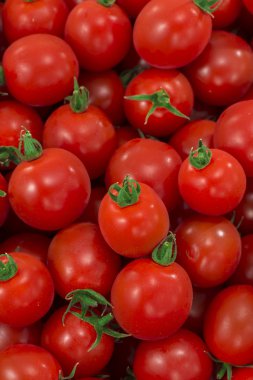 kırmızı ve taze domates