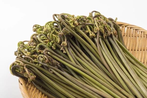 Lezzetli taze bracken hasat