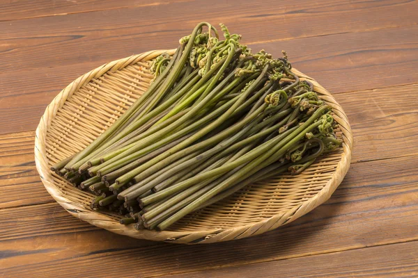 Lezzetli taze bracken hasat — Stok fotoğraf