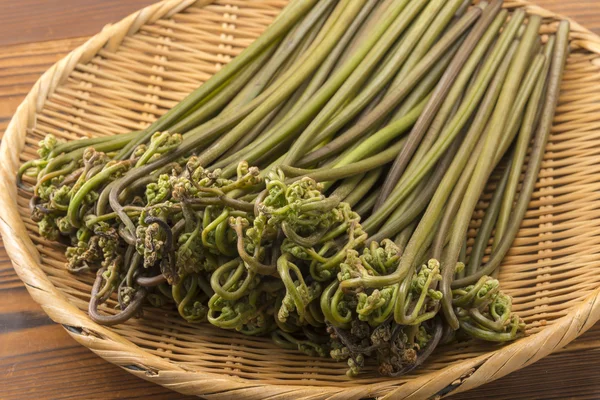 Lezzetli taze bracken hasat