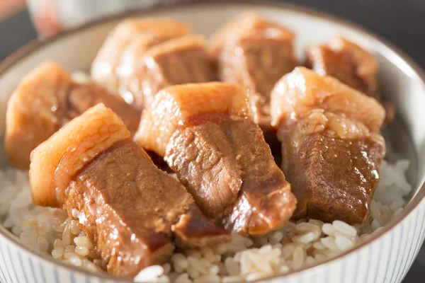 什锦猪肉和米饭 — 图库照片