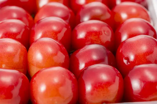 Lindas cerejas vermelhas forradas — Fotografia de Stock