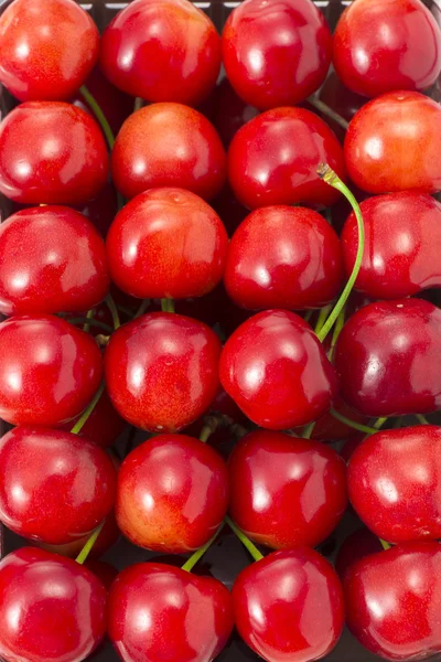 Belle ciliegie rosse foderate — Foto Stock