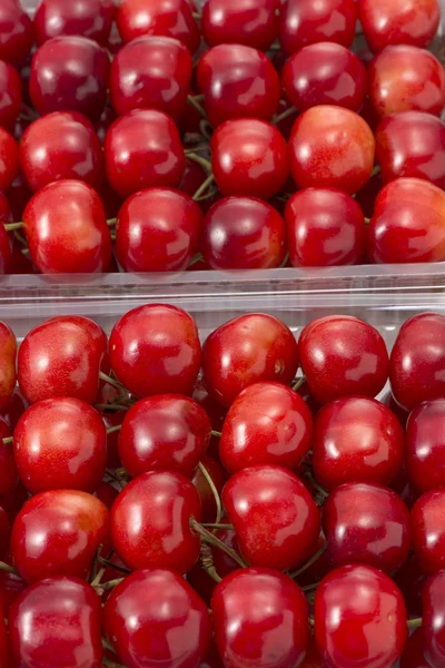 Szép piros cseresznye, bélelt — Stock Fotó