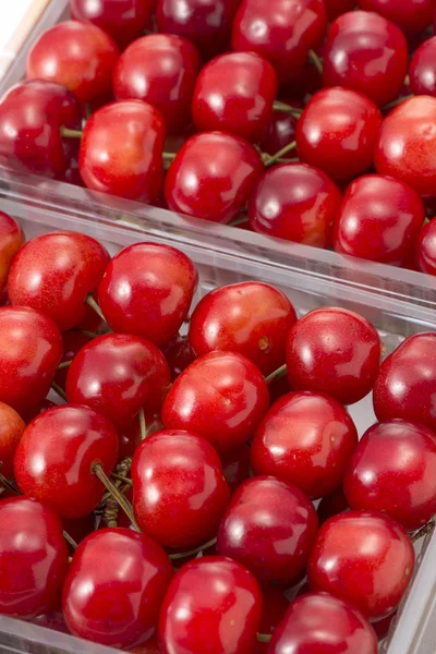 Lindas cerejas vermelhas forradas — Fotografia de Stock