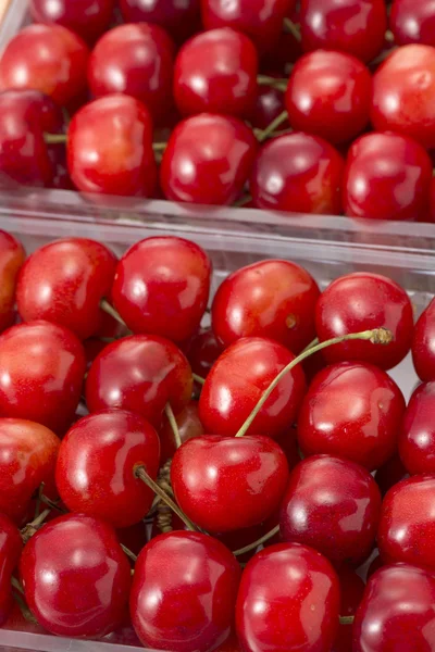 Hermosas cerezas rojas forradas — Foto de Stock