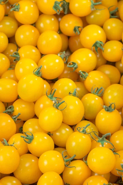 Red and fresh tomato — Stock Photo, Image