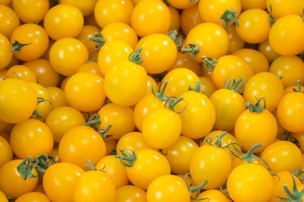 Tomate rojo y fresco — Foto de Stock