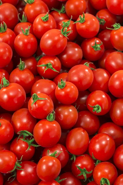 Red and fresh tomato — Stock Photo, Image