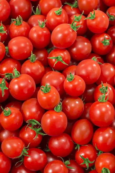 Tomate vermelho e fresco — Fotografia de Stock