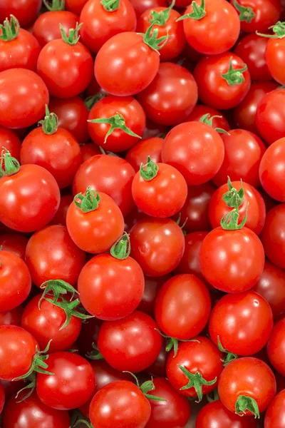 Tomate vermelho e fresco — Fotografia de Stock