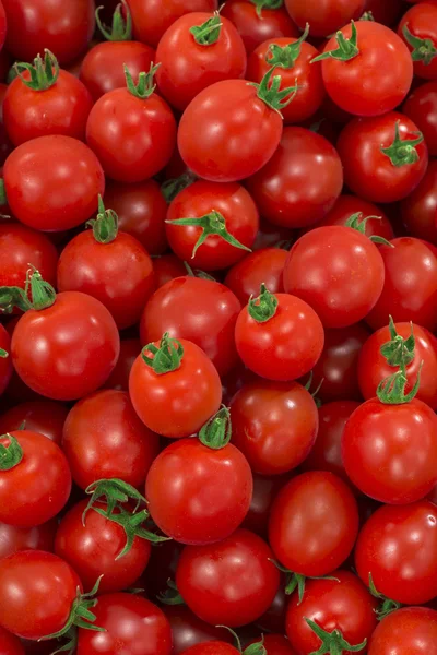 Tomate vermelho e fresco — Fotografia de Stock