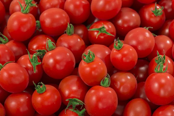 Tomate vermelho e fresco — Fotografia de Stock